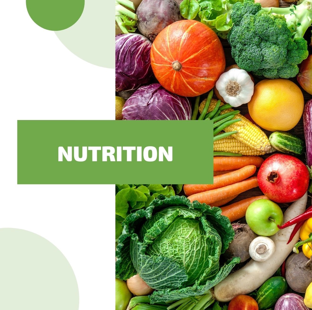 Conseiller en Nutrition et rééquilibrage alimentaire – 90 heures