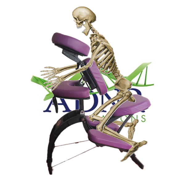 Amma assis & bases de l’anatomie – 20 heures / AMMA