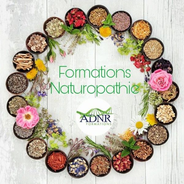 Historique et fondamentaux de la Naturopathie – 25 heures / FONDAM25