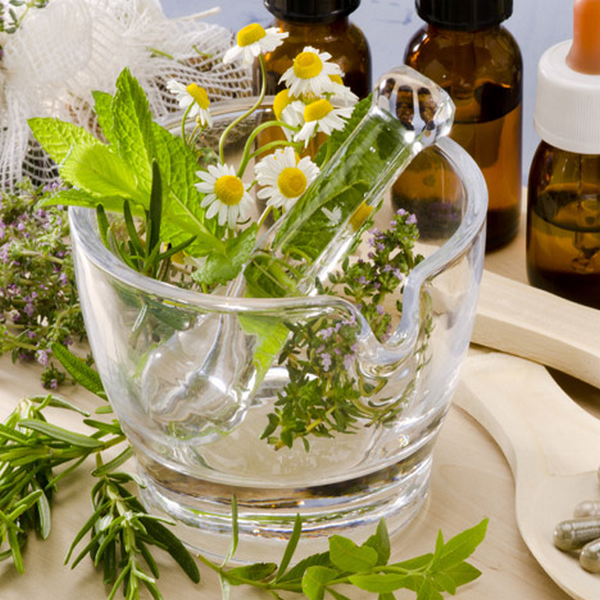 Conseiller en Phytothérapie & Gemmothérapie – 120 Heures / PHYTO